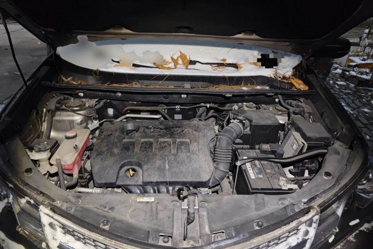 Used Toyota RAV4 2015 2.0L CVT Two-Wheel Drive Fashion Edition Engine Bay