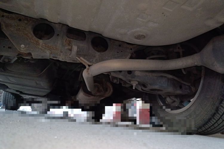 Used Toyota RAV4 2015 2.0L CVT Two-Wheel Drive Fashion Edition Chassis Rear