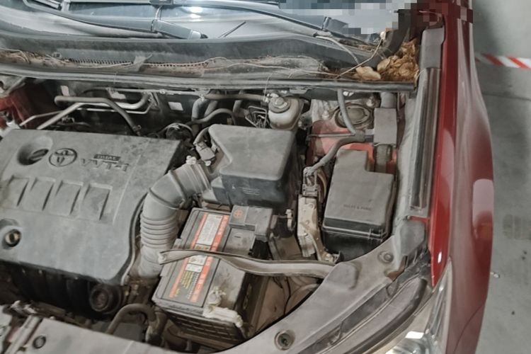 Used Toyota RAV4 2015 2.0L CVT Two-Wheel Drive Fashion Edition Engine Bay Left
