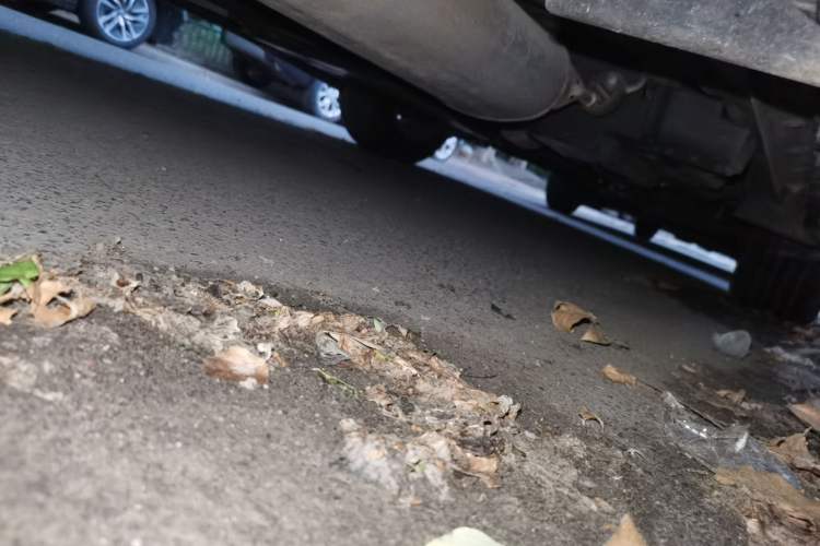 Used Toyota RAV4 2015 2.0L CVT Two-Wheel Drive Fashion Edition Chassis Rear Right