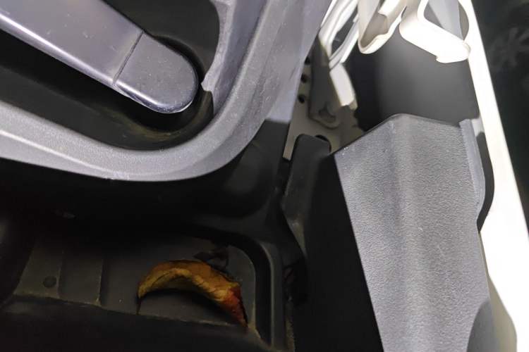Used Toyota RAV4 2015 2.0L CVT Two-Wheel Drive Fashion Edition Engine Bay Left