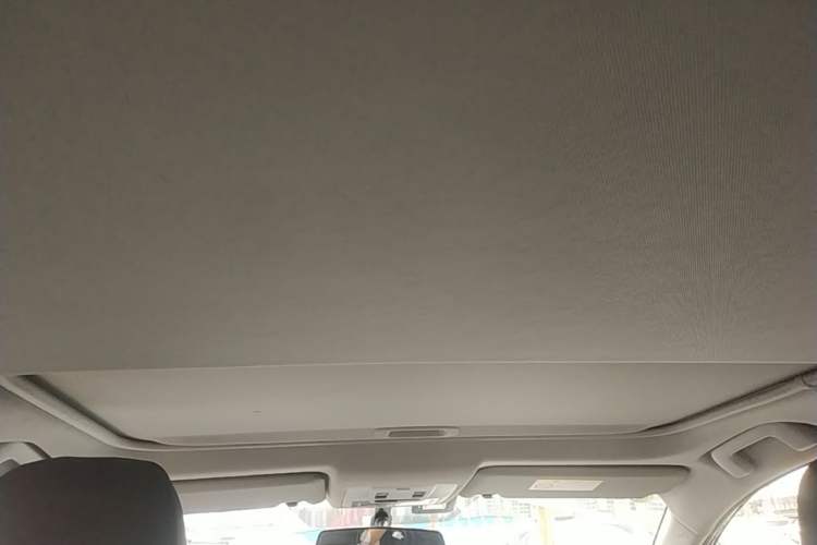 Used Toyota RAV4 2018 2.0L CVT Two-Wheel Drive Fashion X Edition Headliner