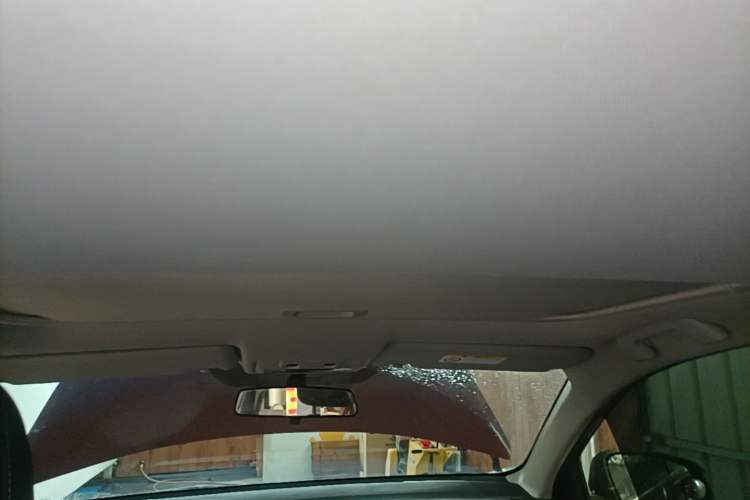 Used Toyota RAV4 2018 2.0L CVT Two-Wheel Drive Fashion X Edition Headliner