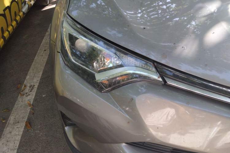 Used Toyota RAV4 2018 2.0L CVT Two-Wheel Drive Fashion X Edition Right Front Headlight