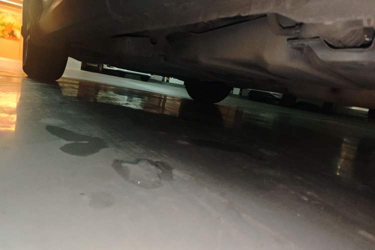 Used Toyota RAV4 2018 2.0L CVT Two-Wheel Drive Fashion X Edition Chassis Rear Left