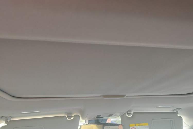 Used Toyota RAV4 2018 2.5L Automatic 4x4 Elite i Edition Headliner