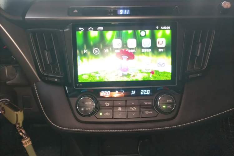 Used Toyota RAV4 2019 2.0L CVT Two-Wheel Drive Pioneer Edition China V Standard Audio And AC Panel