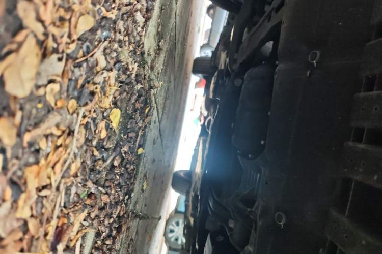 Used Toyota RAV4 2019 2.0L CVT Two-Wheel Drive Fashion X Limited Edition China VI Standard Chassis Front