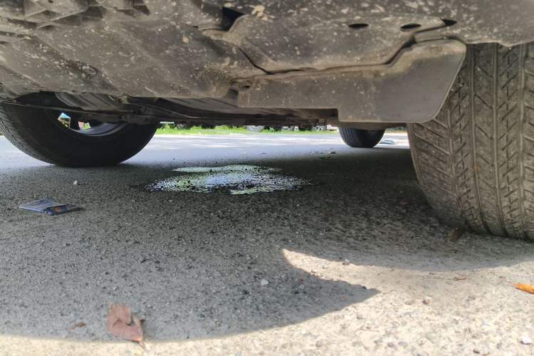 Used Toyota RAV4 2019 2.0L CVT Two-Wheel Drive ZhiShang Version China VI Standard Chassis Front Left