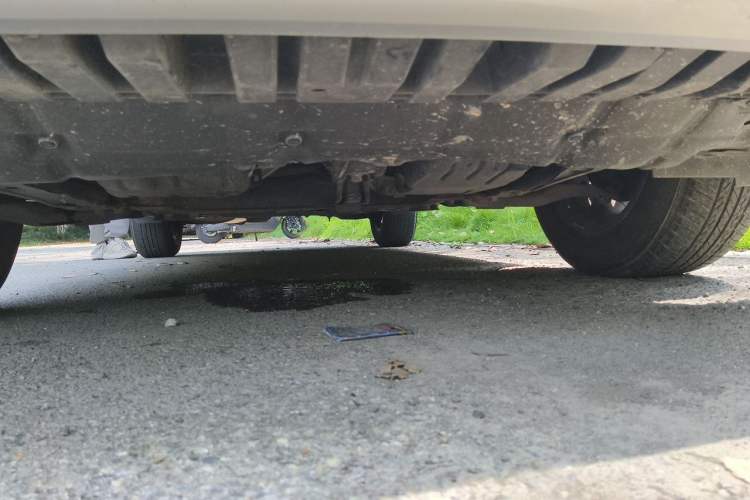 Used Toyota RAV4 2019 2.0L CVT Two-Wheel Drive ZhiShang Version China VI Standard Chassis Front