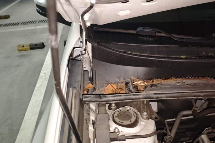 Used Toyota RAV4 2019 2.0L CVT Two-Wheel Drive ZhiShang Version China VI Standard Engine Bay Right