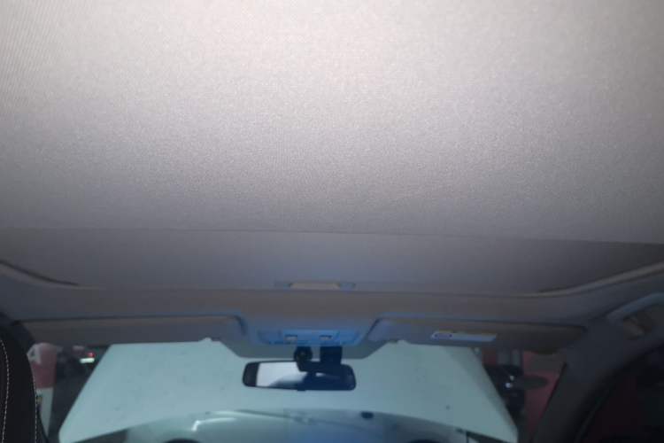 Used Toyota RAV4 2019 2.0L CVT Two-Wheel Drive Pioneer Edition China V Standard Headliner