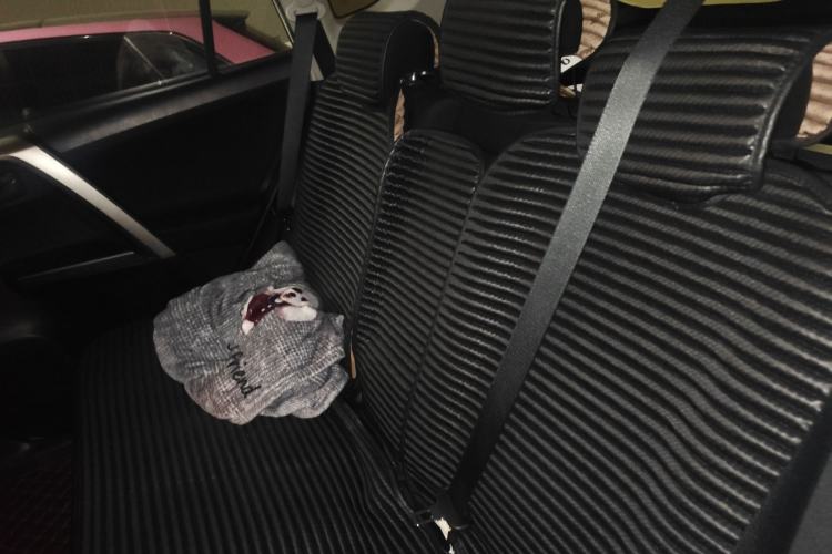 Used Toyota RAV4 2019 2.0L CVT Two-Wheel Drive Pioneer Edition China V Standard Left Rear Seat
