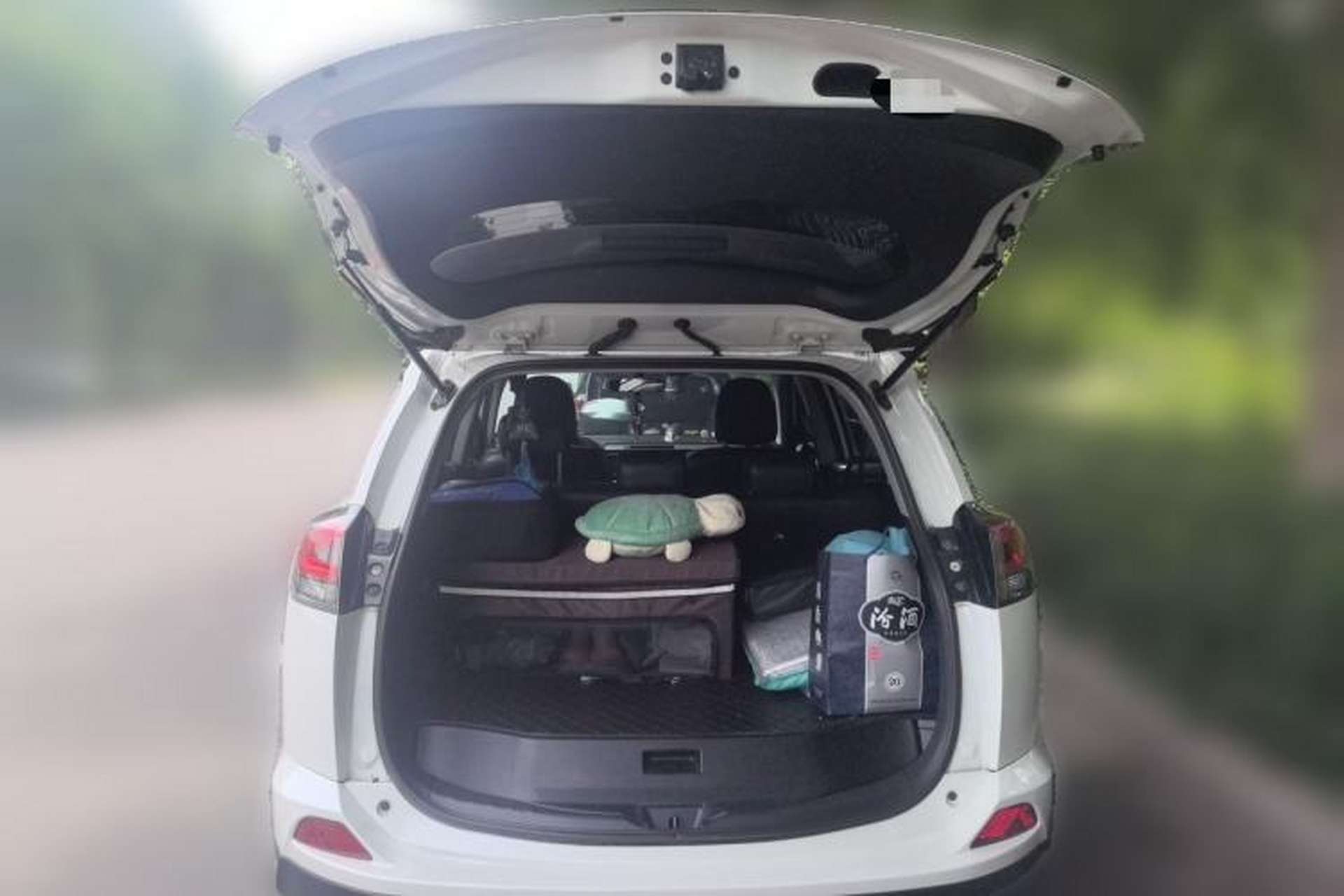 Used Toyota RAV4 2019 2.0L CVT Two-Wheel Drive Luxury Version China VI Standard Trunk
