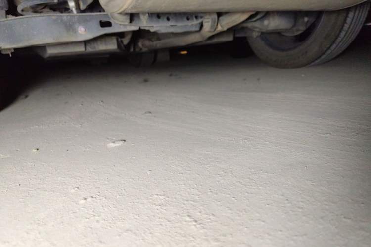Used Toyota RAV4 2020 2.0L CVT Two-Wheel Drive Fashion PLUS Edition Chassis Rear Left