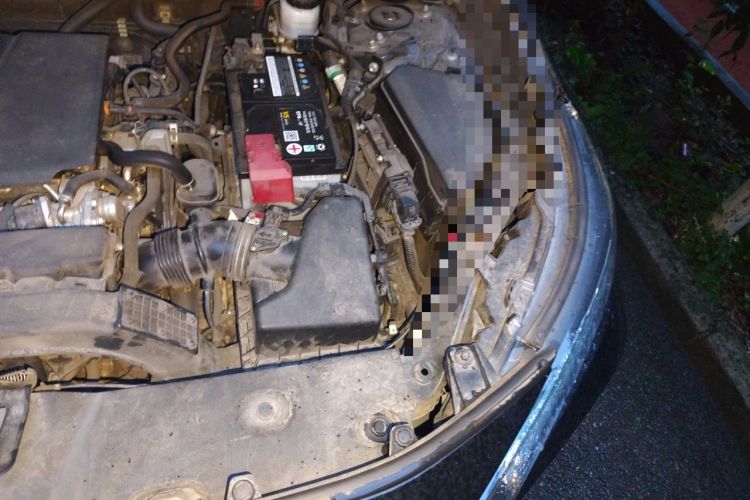 Used Toyota RAV4 2020 2.0L CVT Two-Wheel Drive Fashion Edition Engine Bay Left