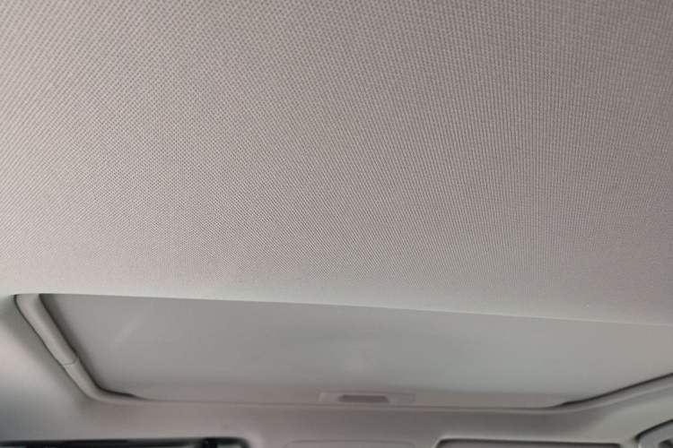 Used Toyota RAV4 2020 Dual-Engine 2.5L E-CVT Four-Wheel Drive Elite Edition Headliner