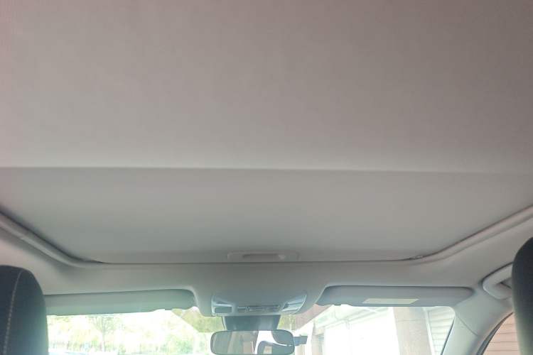 Used Toyota RAV4 2020 2.0L CVT Two-Wheel Drive Fashion Edition Headliner