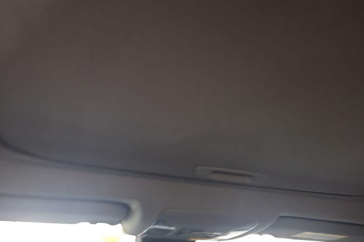 Used Toyota RAV4 2020 2.0L CVT Two-Wheel Drive Fashion Edition Headliner