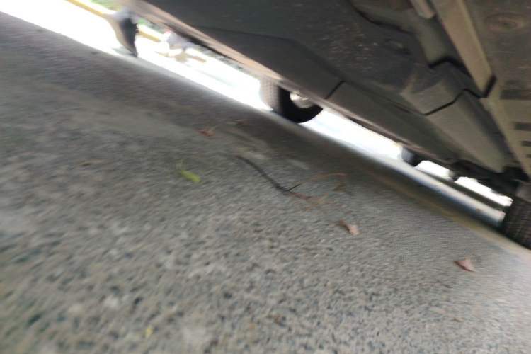 Used Toyota RAV4 2020 2.0L CVT Two-Wheel Drive Fashion PLUS Edition Chassis Rear Right