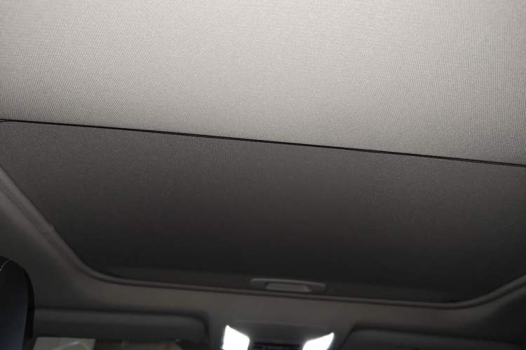 Used Toyota RAV4 2020 2.0L CVT Two-Wheel Drive Fashion PLUS Edition Headliner