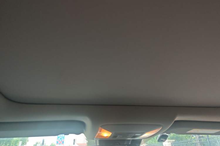 Used Toyota RAV4 2020 Dual-Motor 2.5L E-CVT Four-Wheel Drive Flagship Edition Headliner