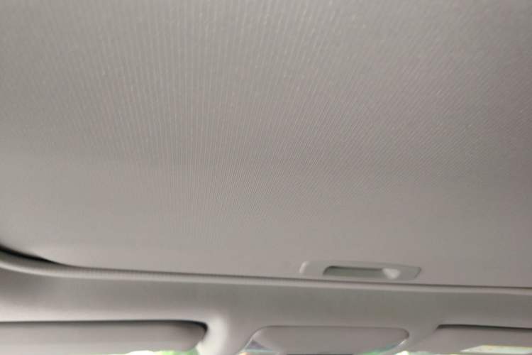 Used Toyota RAV4 2020 2.0L CVT Two-Wheel Drive Fashion PLUS Edition Headliner