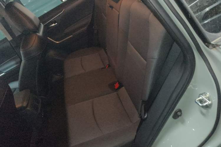 Used Toyota RAV4 2020 Dual-Engine 2.5L E-CVT Four-Wheel Drive Elite Edition Left Rear Seat