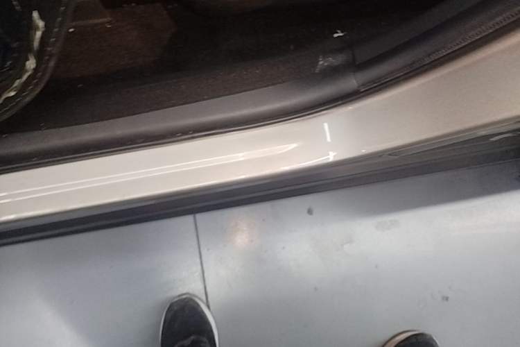 Used Toyota RAV4 2020 Dual-Engine 2.5L E-CVT Two-Wheel Drive Elite Edition Left Side Sill