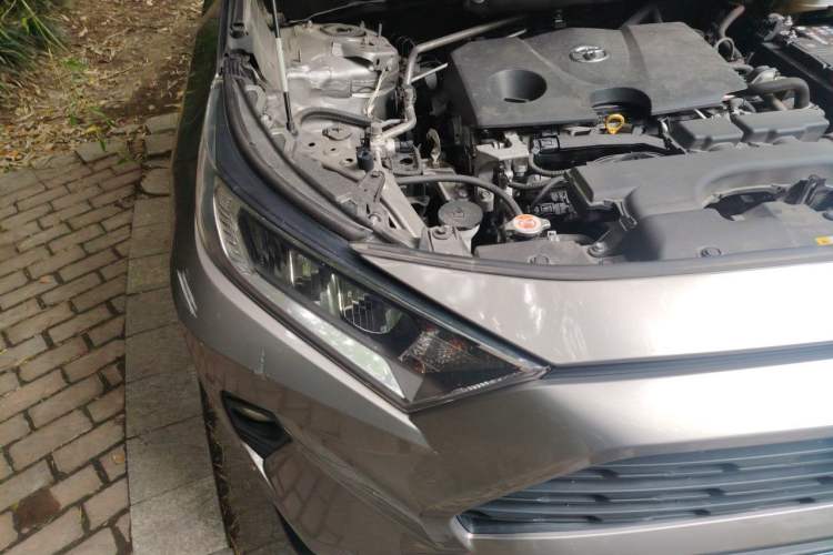 Used Toyota RAV4 2020 2.0L CVT Two-Wheel Drive Urban Edition Right Front Headlight
