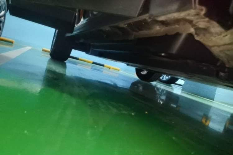 Used Toyota RAV4 2020 2.0L CVT 4x4 Style PLUS Edition Right Side Sill