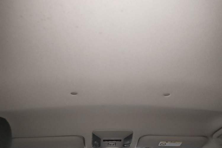 Used Toyota RAV4 2020 2.0L CVT Two-Wheel Drive Urban Edition Headliner
