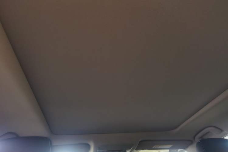 Used Toyota RAV4 2020 Dual-Motor 2.5L E-CVT Four-Wheel Drive Flagship Edition Headliner