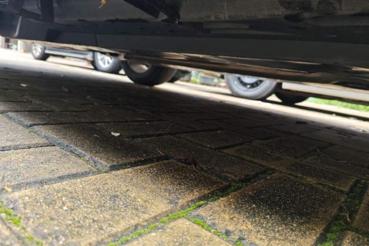Used Toyota RAV4 2020 2.0L CVT Two-Wheel Drive Urban Edition Chassis Front Right
