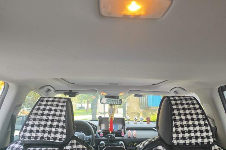Used Toyota RAV4 2020 2.0L CVT Two-Wheel Drive Fashion Edition Headliner