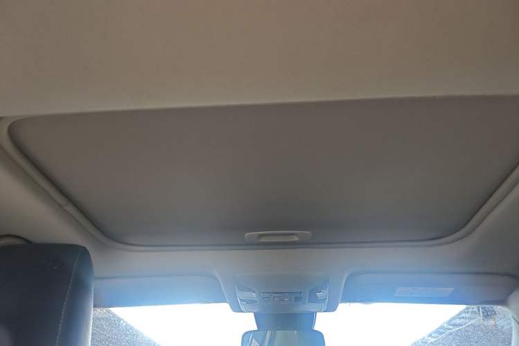 Used Toyota RAV4 2020 2.0L CVT Two-Wheel Drive Fashion PLUS Edition Headliner
