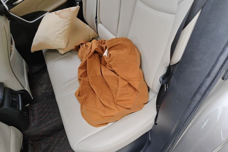 Used Toyota RAV4 2020 Dual-Engine 2.5L E-CVT Two-Wheel Drive Elite Edition Left Rear Seat