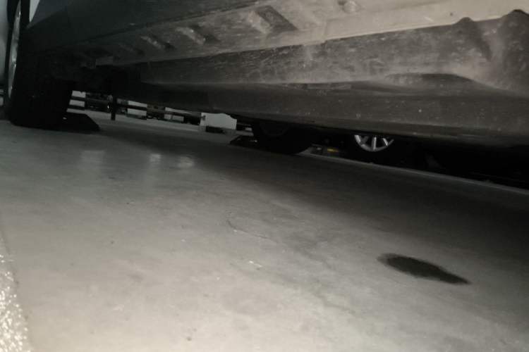 Used Toyota RAV4 2020 2.0L CVT Two-Wheel Drive Urban Edition Chassis Front Right