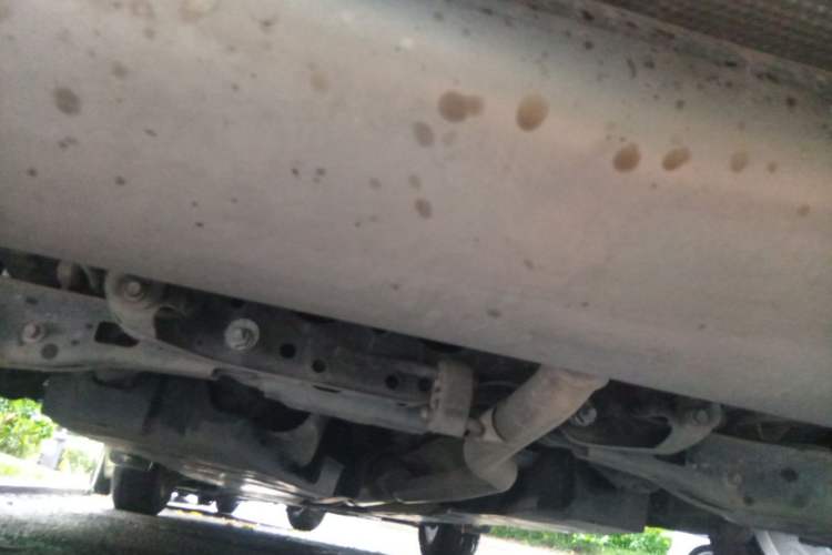 Used Toyota RAV4 2020 2.0L CVT Two-Wheel Drive Fashion Edition Chassis Rear