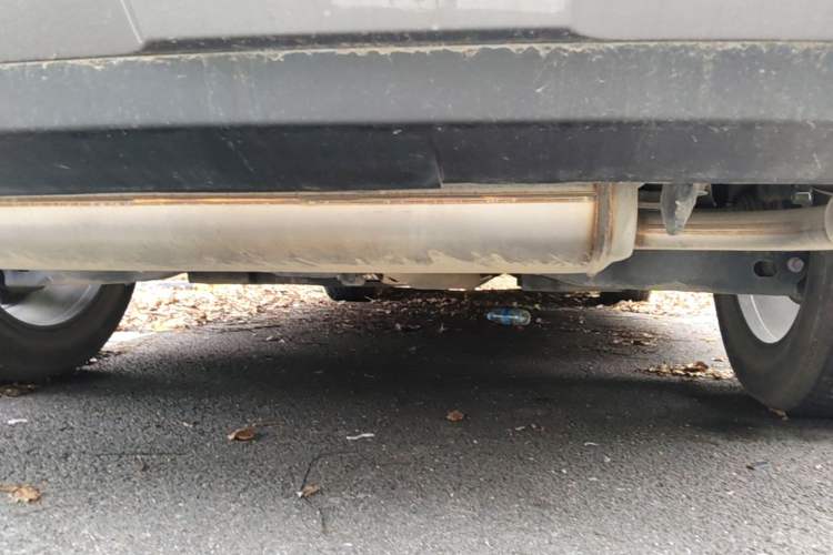 Used Toyota RAV4 2020 2.0L CVT 4x4 Trend Edition Chassis Rear