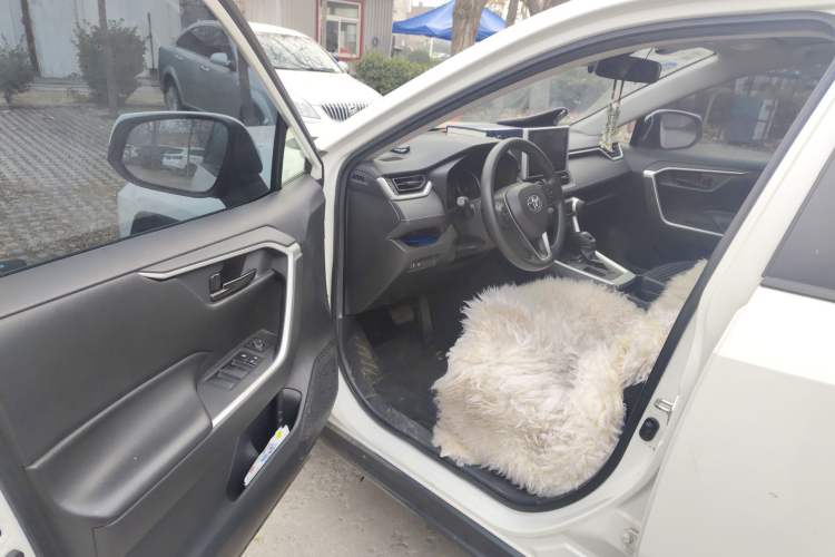 Used Toyota RAV4 2020 2.0L CVT Two-Wheel Drive Urban Edition Driver Seat