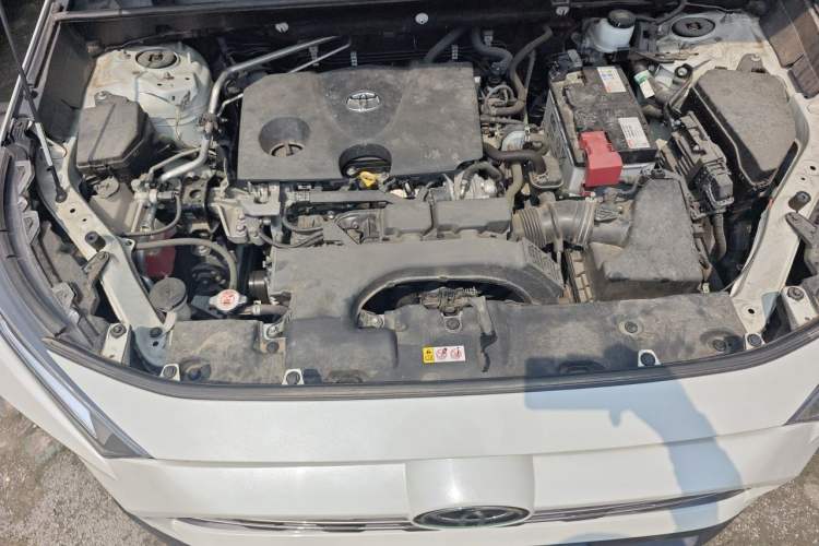 Used Toyota RAV4 2020 2.0L CVT Two-Wheel Drive Prestige Edition Engine Bay
