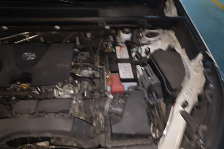 Used Toyota RAV4 2020 2.0L CVT Two-Wheel Drive Fashion PLUS Edition Engine Bay Left