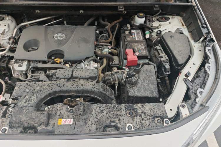 Used Toyota RAV4 2020 2.0L CVT Two-Wheel Drive Prestige Edition Engine Bay Left