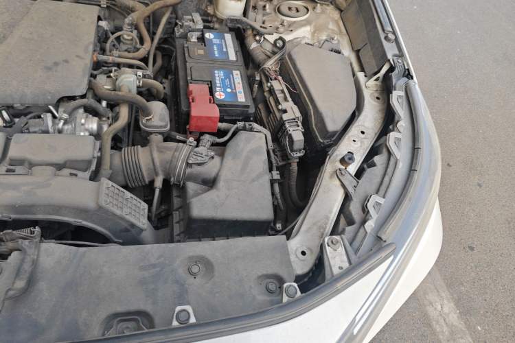 Used Toyota RAV4 2020 2.0L CVT 4x4 Trend Edition Engine Bay Left