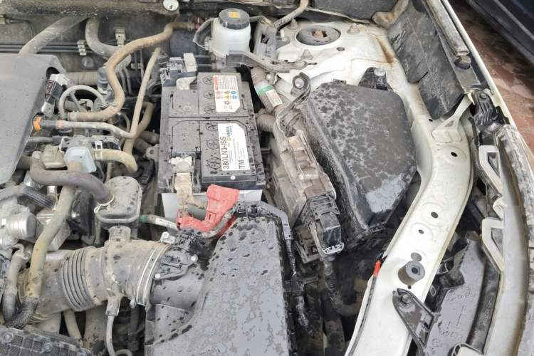 Used Toyota RAV4 2020 2.0L CVT Two-Wheel Drive Prestige Edition Engine Bay Left