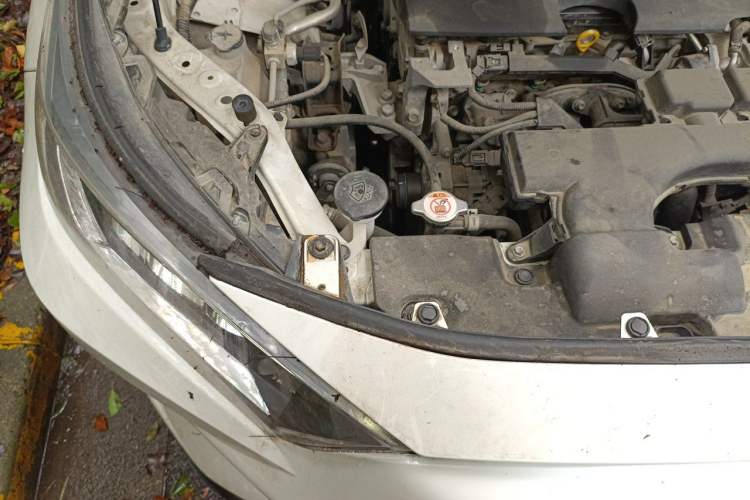 Used Toyota RAV4 2020 2.0L CVT Two-Wheel Drive Fashion Edition Engine Bay Right