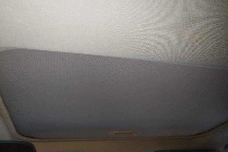 Used Toyota RAV4 2020 2.0L CVT 4x4 Style PLUS Edition Headliner