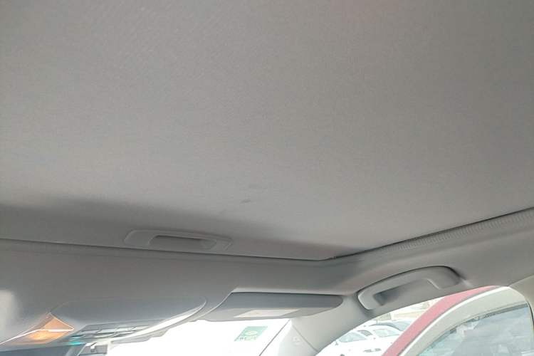 Used Toyota RAV4 2020 2.0L CVT Two-Wheel Drive Fashion PLUS Edition Headliner