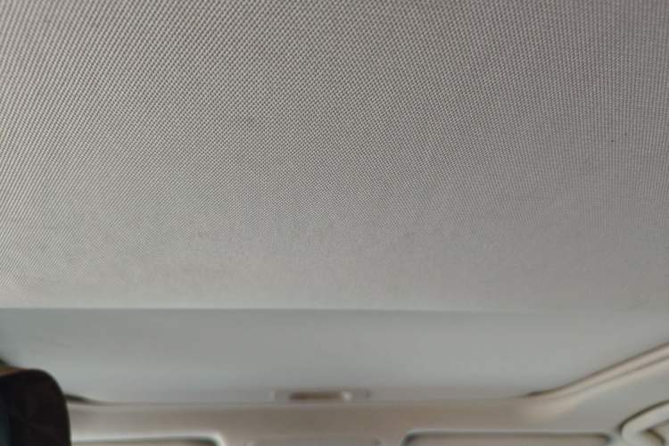 Used Toyota RAV4 2020 2.0L CVT Two-Wheel Drive Fashion Edition Headliner